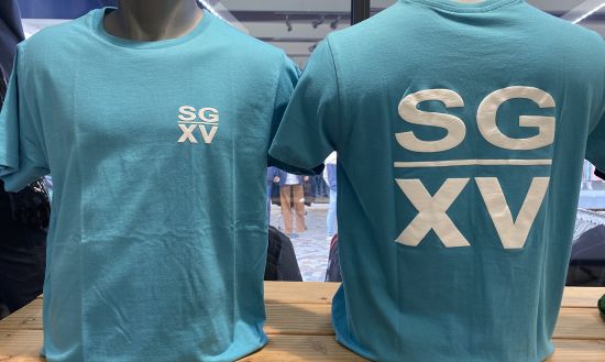 H / Tee shirt  SGXV Gros logo dos swimming pool